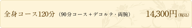 全身コース120分（90分コース+デコルテ・両腕）